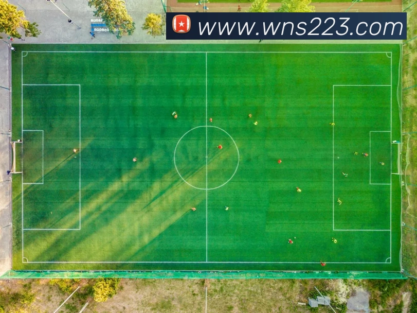 未来规划